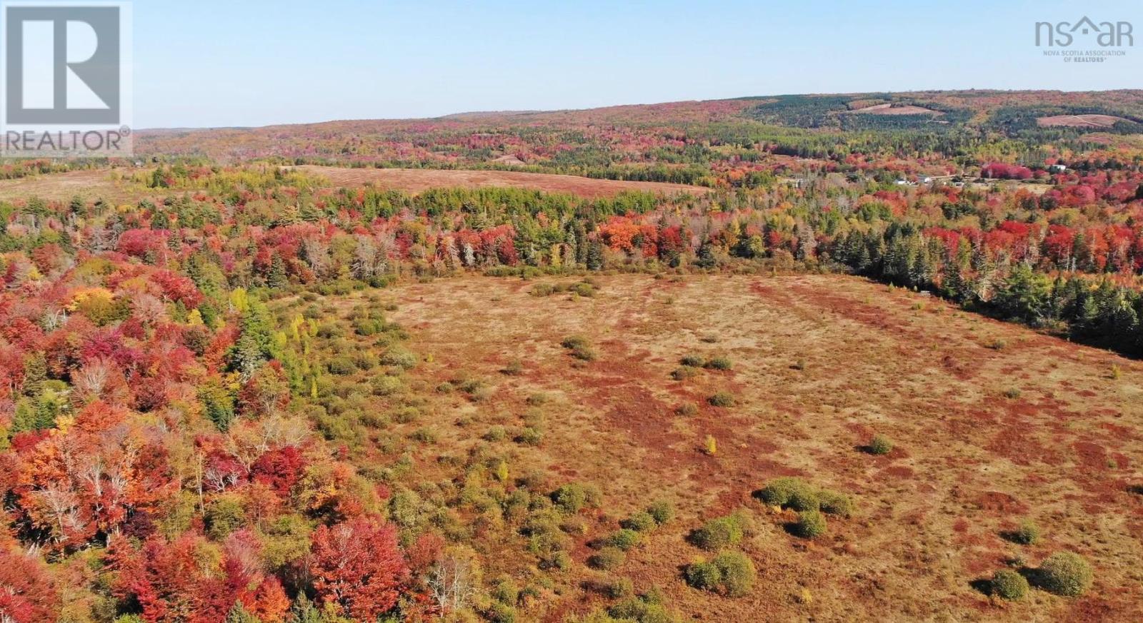 62 Acres West Side Road, West Side Country Harbour, Nova Scotia  B0H 1J0 - Photo 26 - 202407283