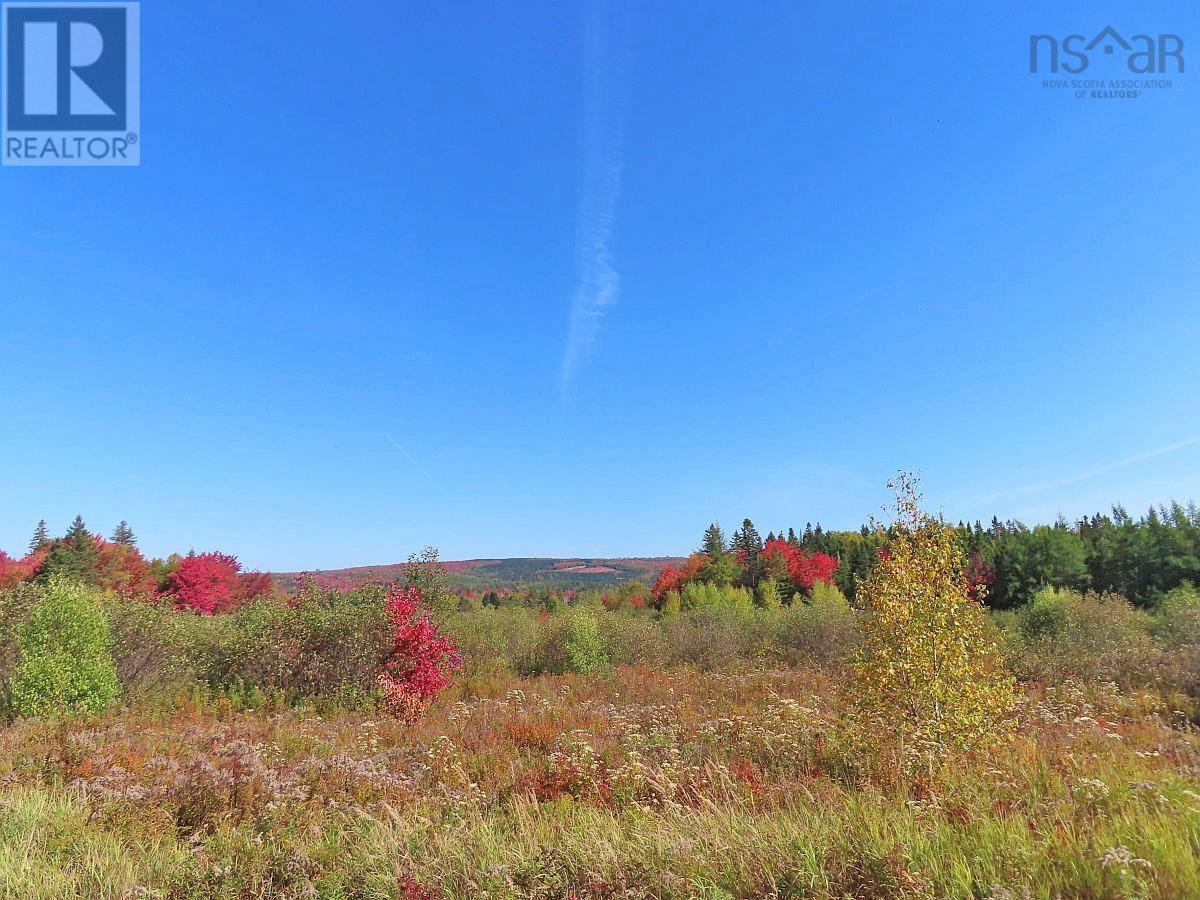 62 Acres West Side Road, West Side Country Harbour, Nova Scotia  B0H 1J0 - Photo 6 - 202407283