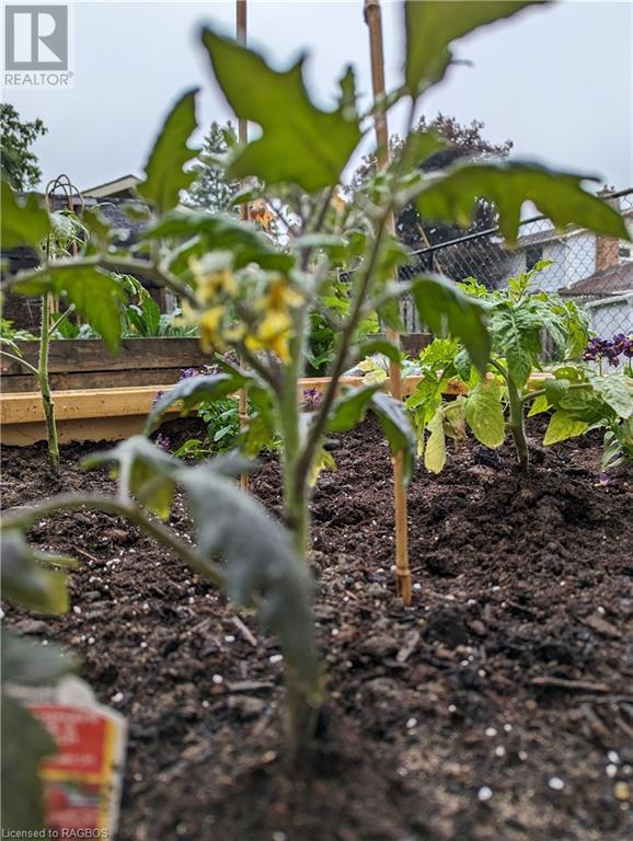 192 12th Avenue, Hanover, Ontario  N4N 2S9 - Photo 39 - 40570874