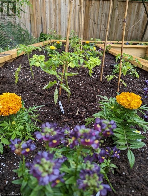 192 12th Avenue, Hanover, Ontario  N4N 2S9 - Photo 40 - 40570874