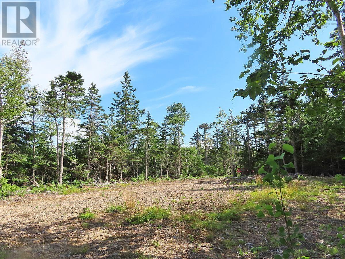 206 Highway, Lake Road, West Arichat, Nova Scotia  B0E 1A0 - Photo 17 - 202316445