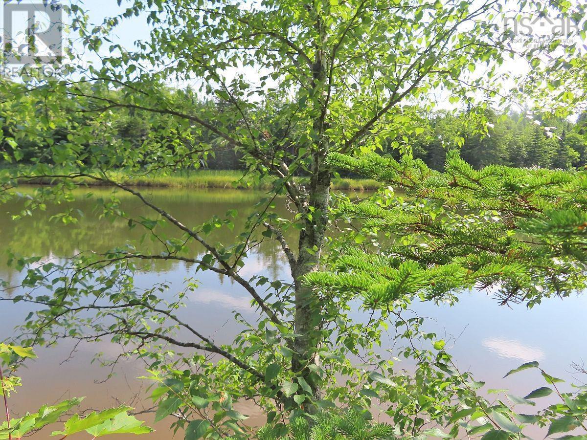 Lot5 Lower River Road, Grantville, Nova Scotia  B0E 1J0 - Photo 11 - 202403617
