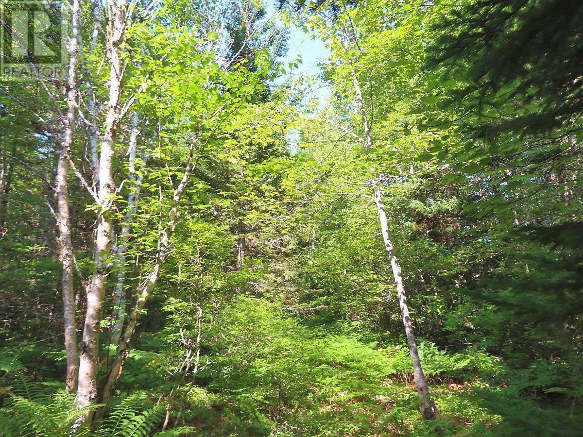 Lot5 Lower River Road, Grantville, Nova Scotia  B0E 1J0 - Photo 14 - 202403617