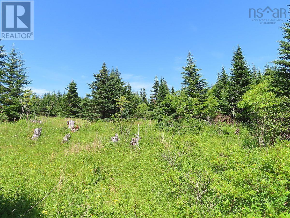 Lot 4 Highway 4, Soldiers Cove, Nova Scotia  B0E 3B0 - Photo 15 - 202403879