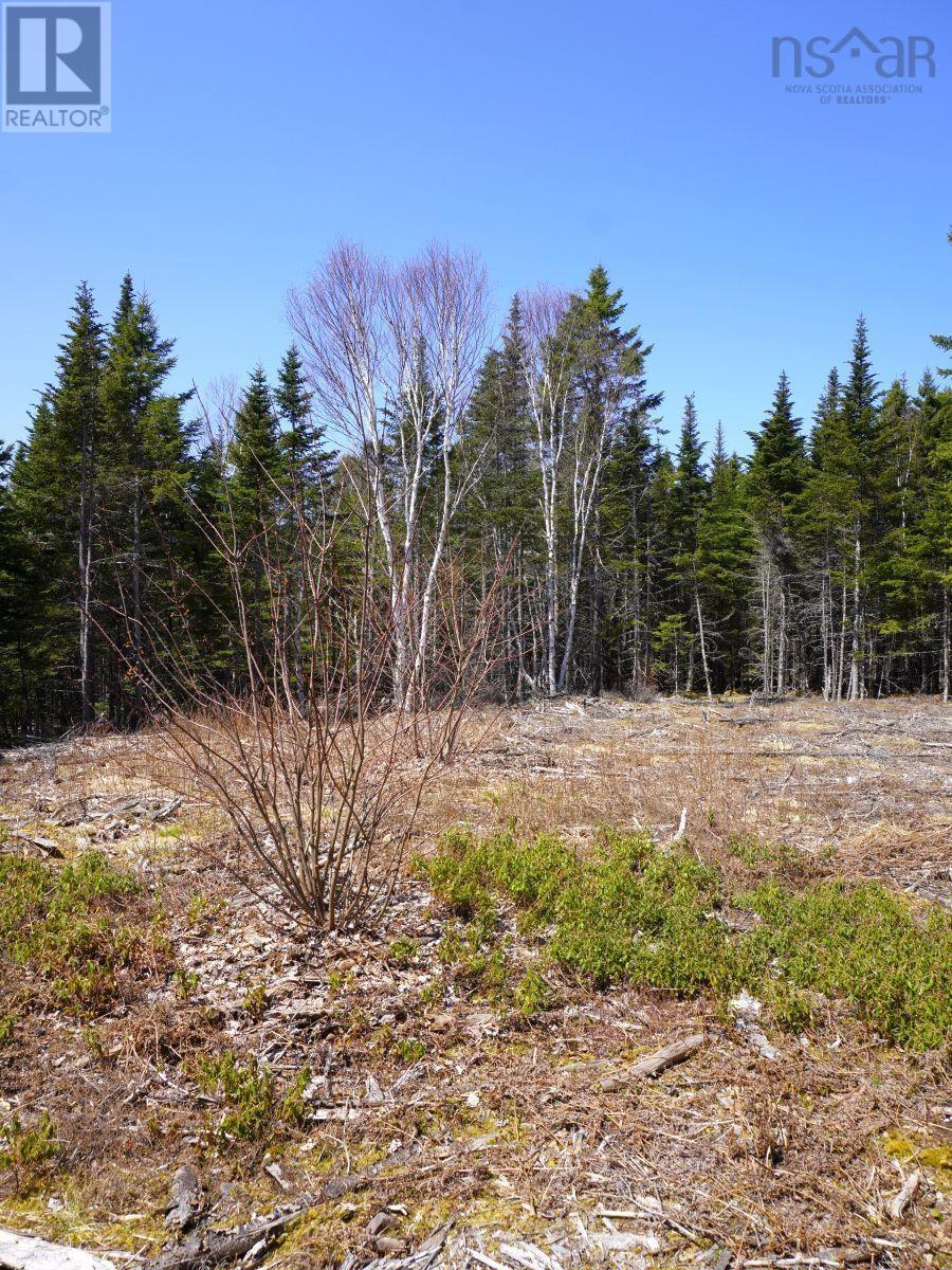 Lot 8 Evanston Road, Cleveland, Nova Scotia  B0E 1J0 - Photo 10 - 202407315