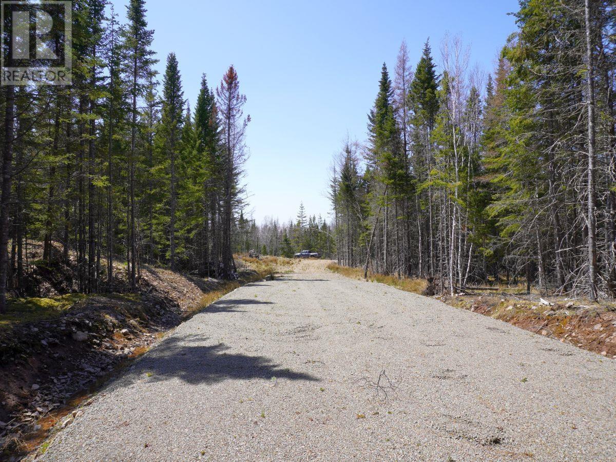 Lot 8 Evanston Road, Cleveland, Nova Scotia  B0E 1J0 - Photo 2 - 202407315