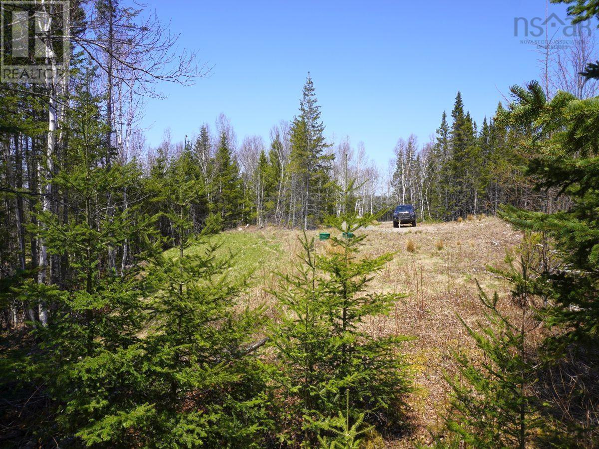 Lot 8 Evanston Road, Cleveland, Nova Scotia  B0E 1J0 - Photo 3 - 202407315