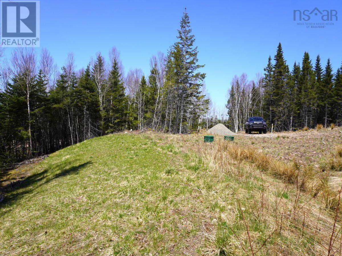 Lot 8 Evanston Road, Cleveland, Nova Scotia  B0E 1J0 - Photo 4 - 202407315