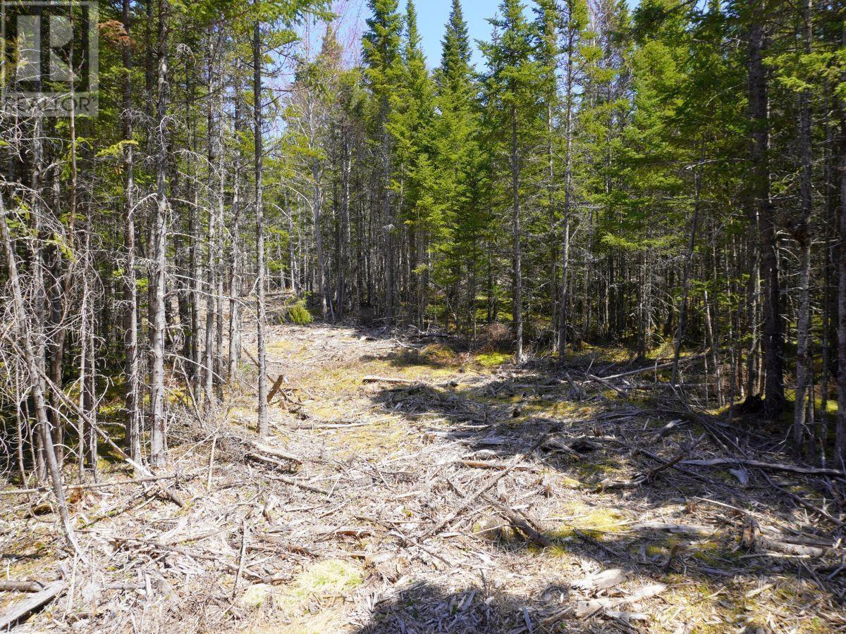 Lot 8 Evanston Road, Cleveland, Nova Scotia  B0E 1J0 - Photo 5 - 202407315