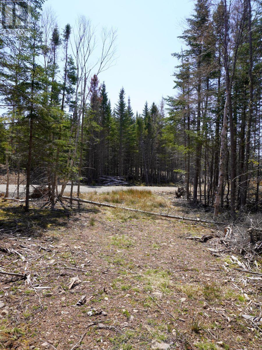 Lot 8 Evanston Road, Cleveland, Nova Scotia  B0E 1J0 - Photo 7 - 202407315