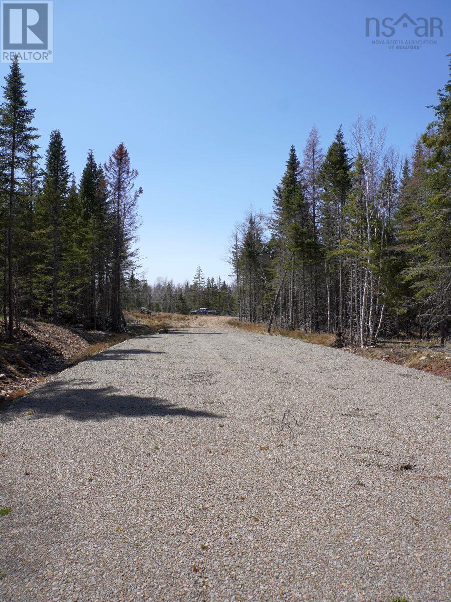 Lot 8 Evanston Road, Cleveland, Nova Scotia  B0E 1J0 - Photo 8 - 202407315