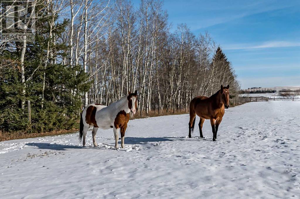 162076 160 Street W, Rural Foothills County, Alberta  T1S 0Z1 - Photo 37 - A2095468