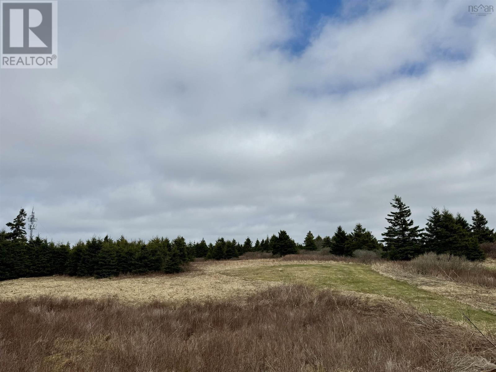 2617 Highway 206, Arichat, Nova Scotia  B0E 1A0 - Photo 16 - 202407343