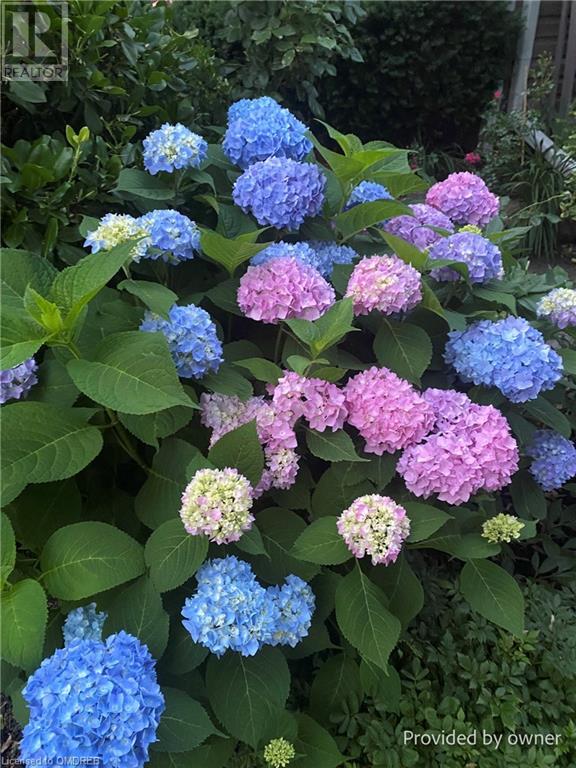 536 Woodland Avenue, Burlington, Ontario  L7R 2S4 - Photo 34 - 40572528