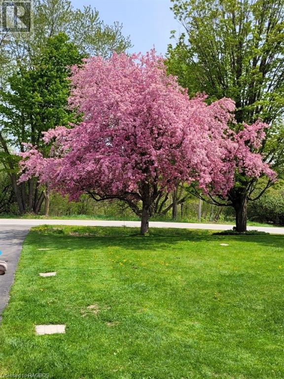 144 Mcnab Street, Chatsworth, Ontario  N0H 1G0 - Photo 5 - 40572712