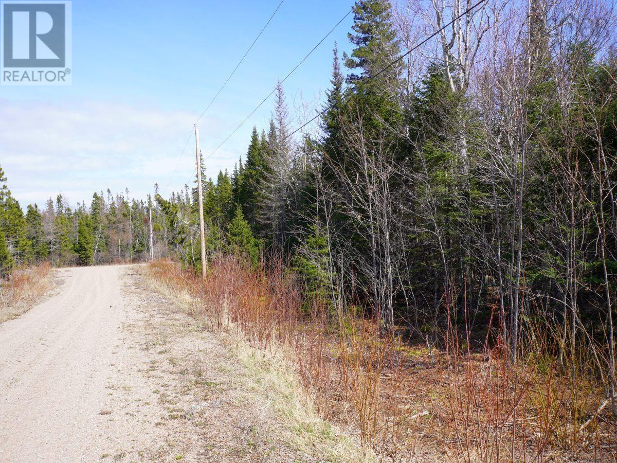 Lot 9 Trout Lake Dr., Grande Anse, Nova Scotia  B0E 1V0 - Photo 6 - 202407353