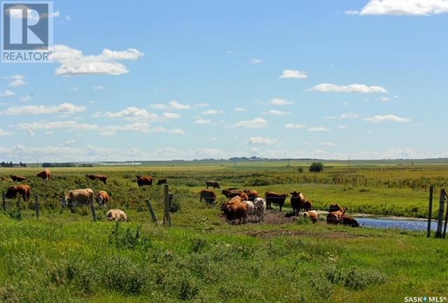 Morgan Ranch, Dundurn, Saskatchewan  S0K 1K0 - Photo 3 - SK965864