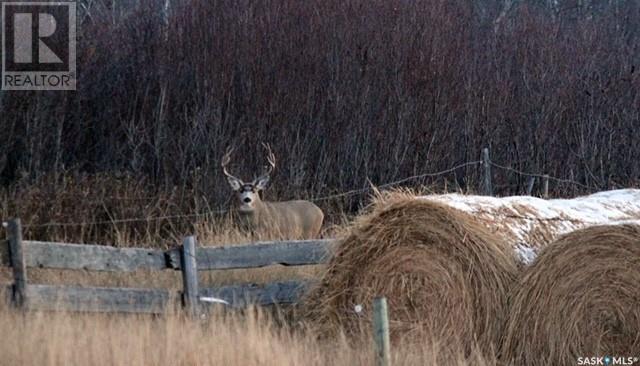 Morgan Ranch, Dundurn, Saskatchewan  S0K 1K0 - Photo 4 - SK965864