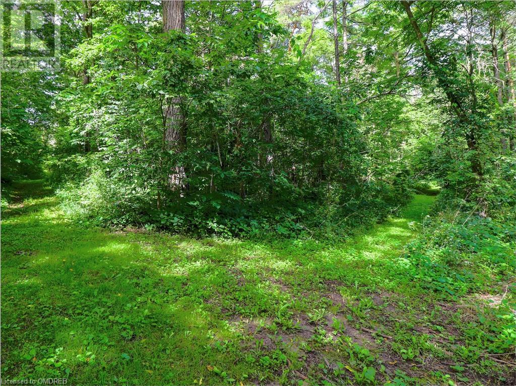 1502 West River Road, Cambridge, Ontario  N1R 5S5 - Photo 42 - 40572282