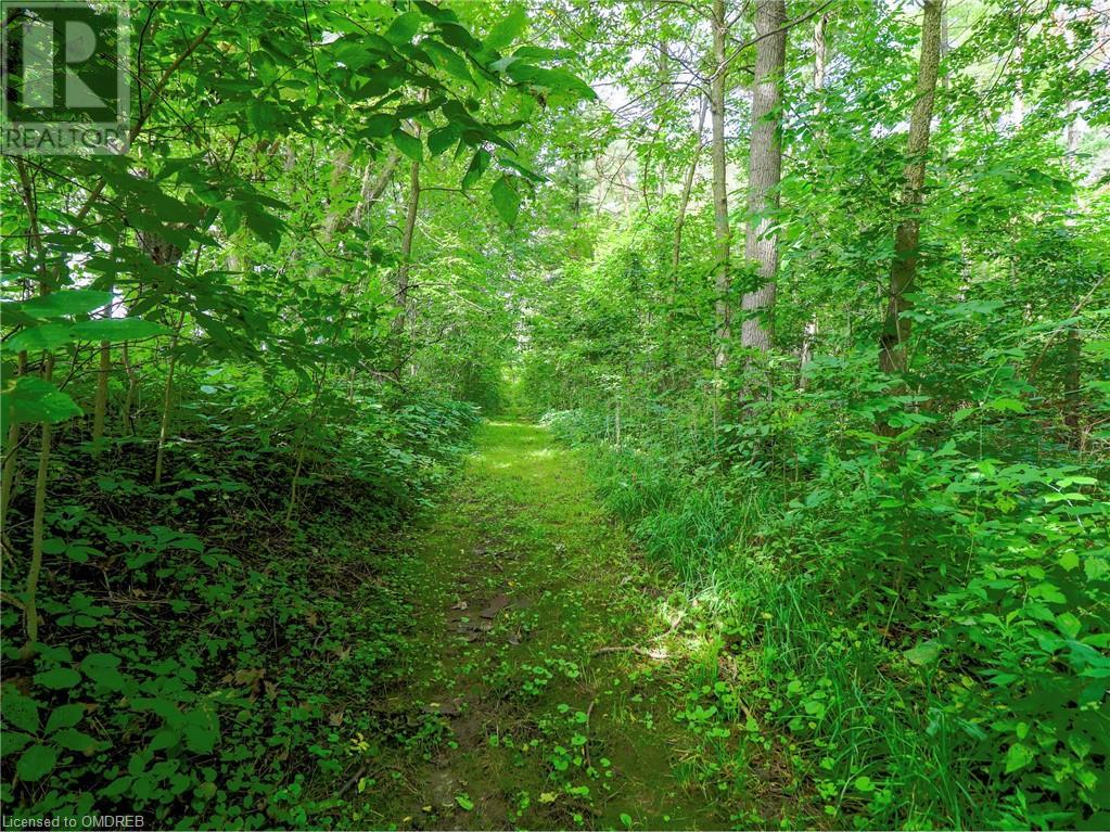 1502 West River Road, Cambridge, Ontario  N1R 5S5 - Photo 43 - 40572282