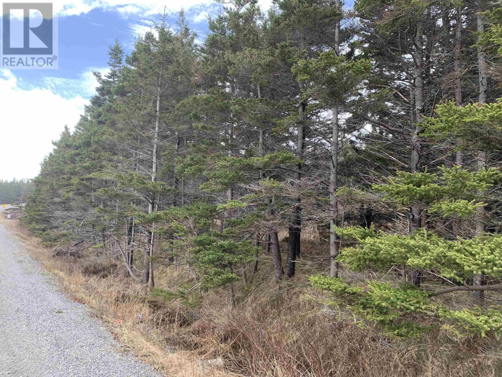 Shore Road, Western Head, Nova Scotia  B0T 1K0 - Photo 1 - 202407364
