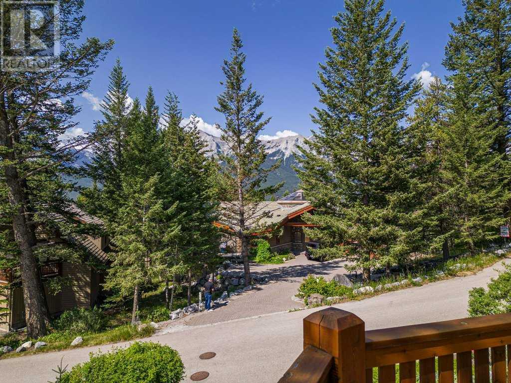 21 blue grouse Ridge Canmore