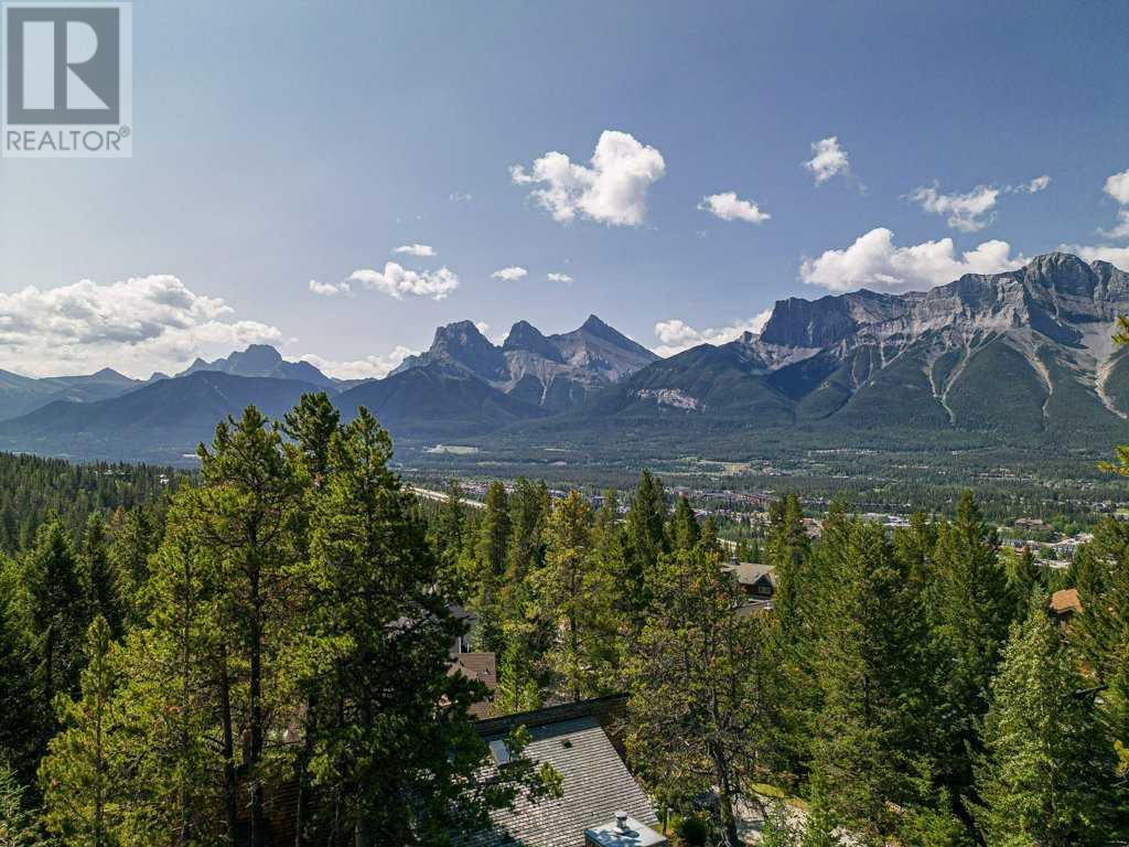 21 blue grouse Ridge Canmore