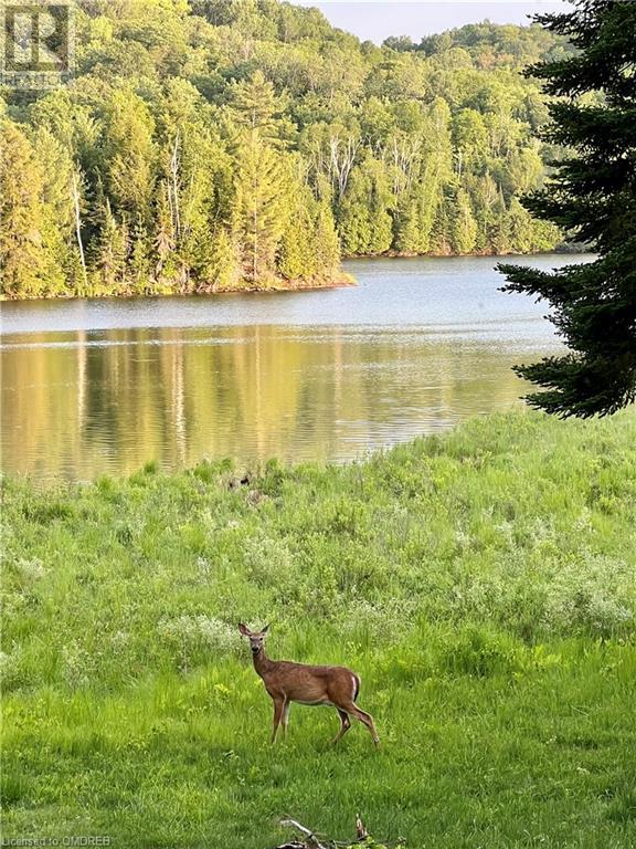 1093 Choke Cherry Lane, Wilberforce, Ontario  K0L 3C0 - Photo 19 - 40571497