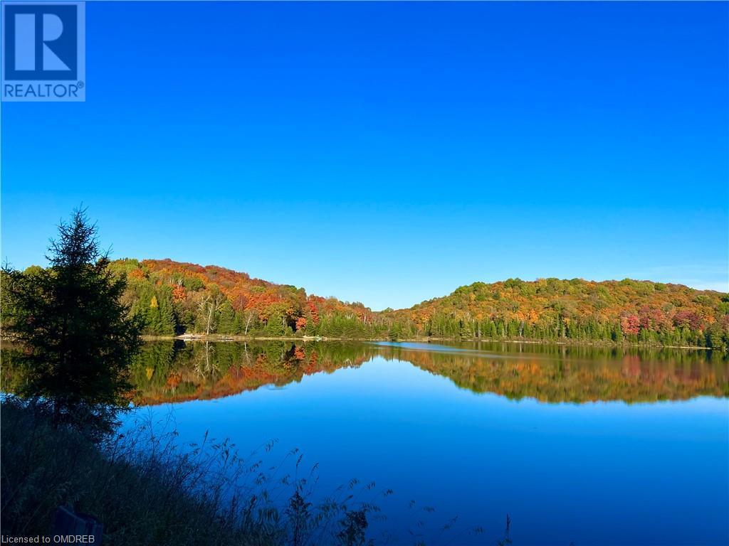 1093 Choke Cherry Lane, Wilberforce, Ontario  K0L 3C0 - Photo 2 - 40571497