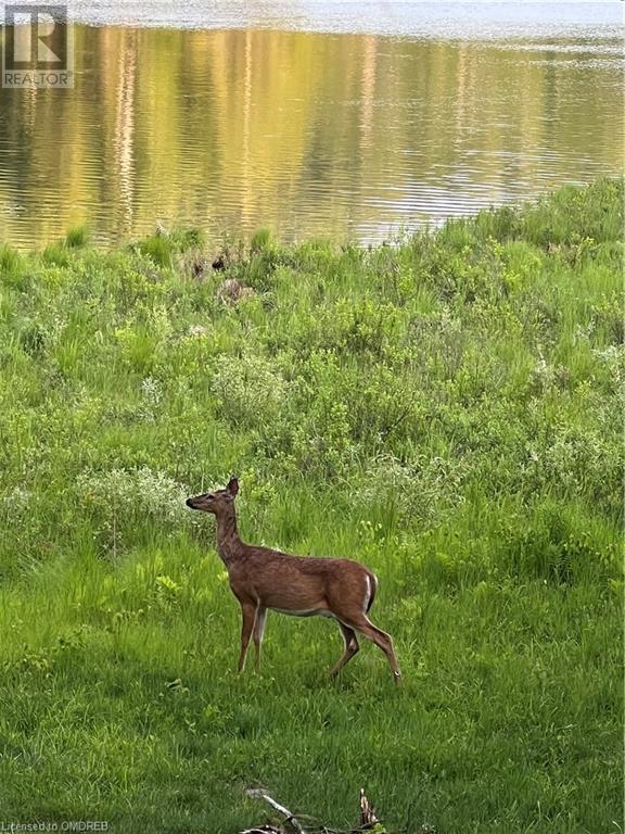 1093 Choke Cherry Lane, Wilberforce, Ontario  K0L 3C0 - Photo 20 - 40571497