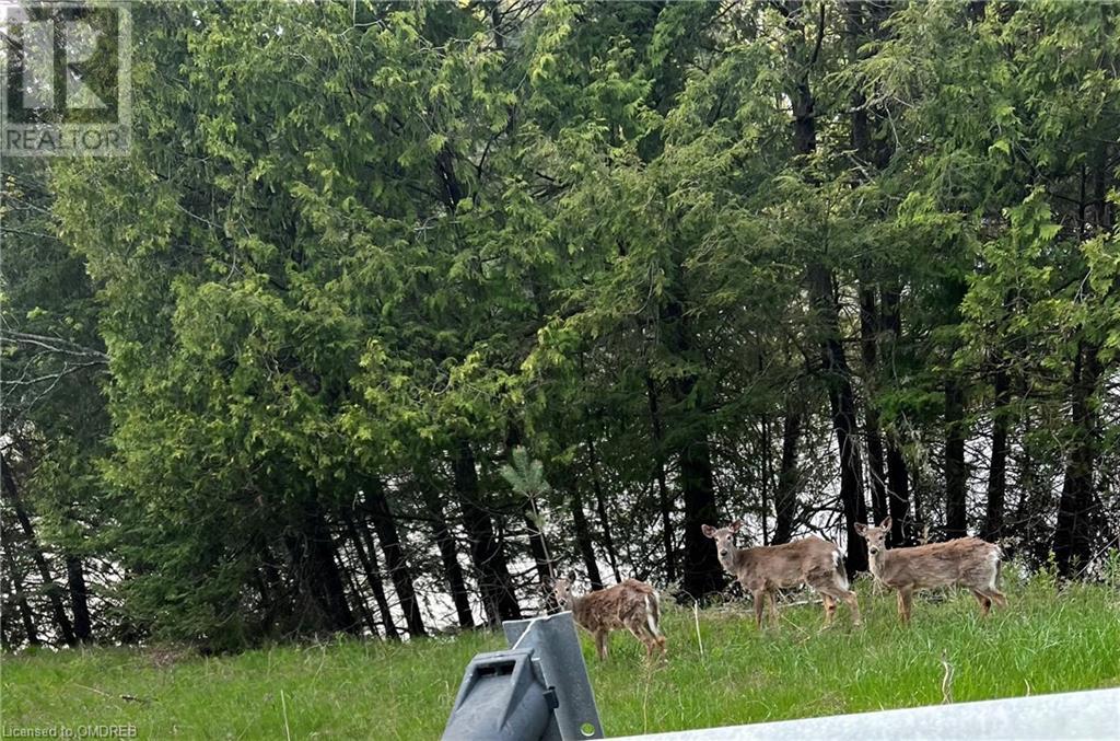 1093 Choke Cherry Lane, Wilberforce, Ontario  K0L 3C0 - Photo 22 - 40571497