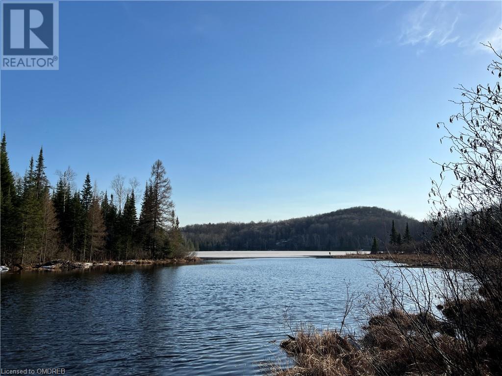 1093 Choke Cherry Lane, Wilberforce, Ontario  K0L 3C0 - Photo 24 - 40571497