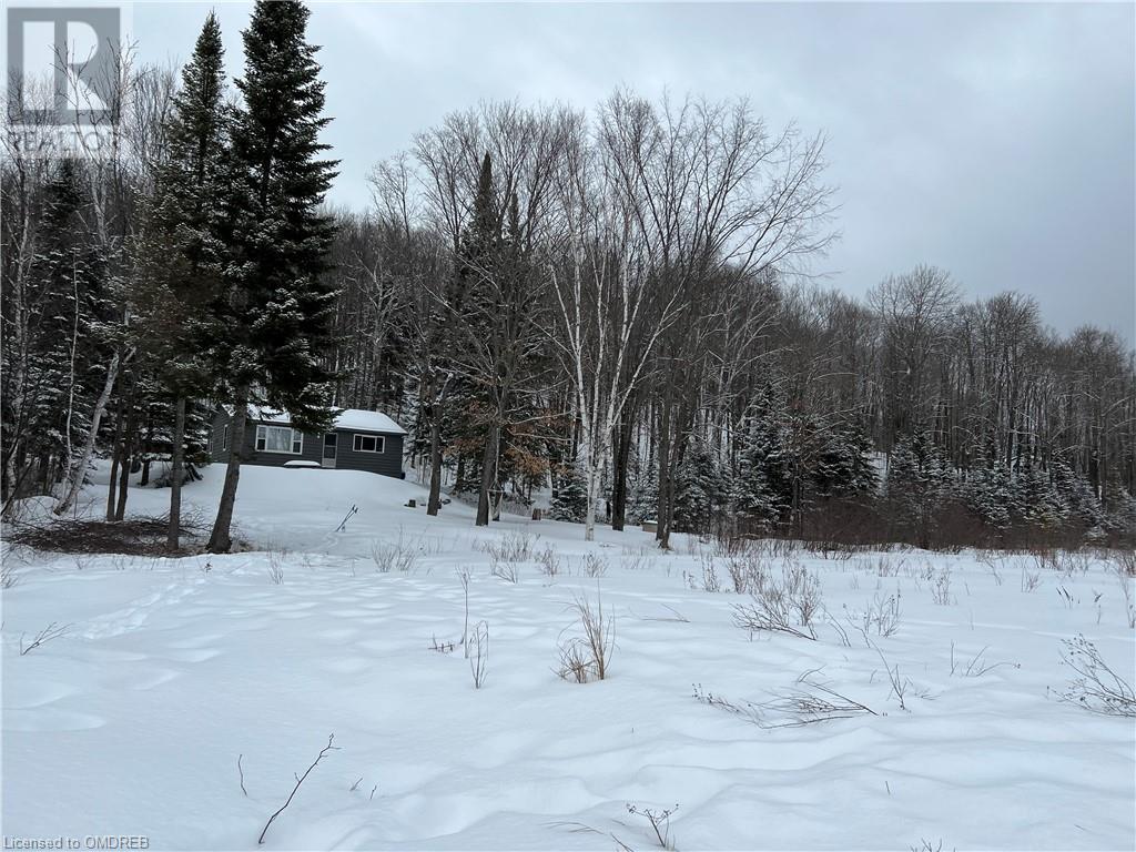 1093 Choke Cherry Lane, Wilberforce, Ontario  K0L 3C0 - Photo 26 - 40571497