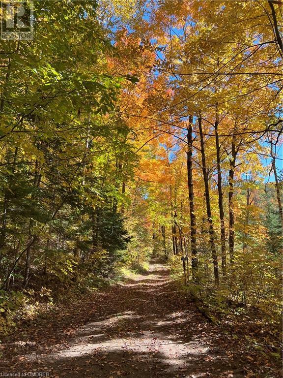 1093 Choke Cherry Lane, Wilberforce, Ontario  K0L 3C0 - Photo 27 - 40571497
