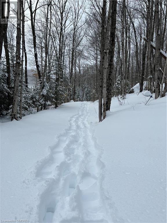 1093 Choke Cherry Lane, Wilberforce, Ontario  K0L 3C0 - Photo 29 - 40571497