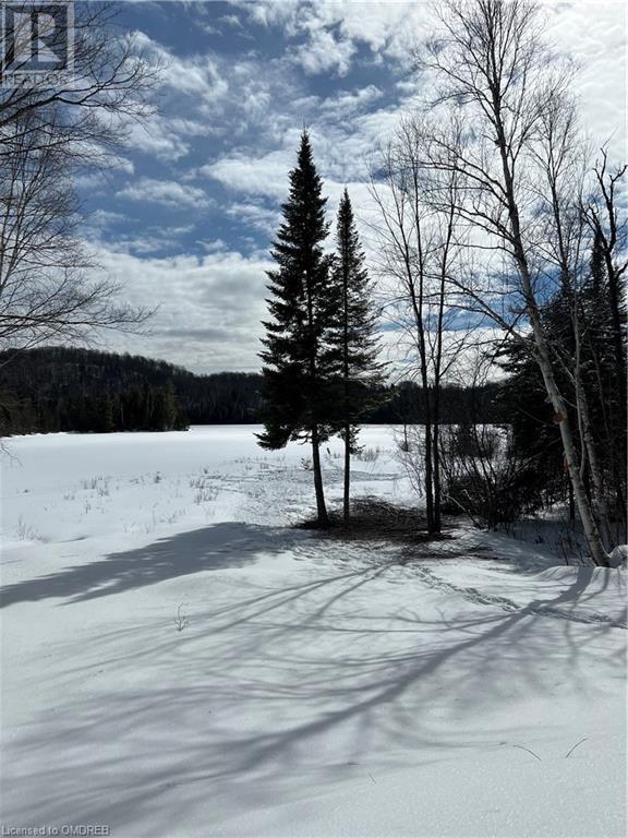 1093 Choke Cherry Lane, Wilberforce, Ontario  K0L 3C0 - Photo 32 - 40571497