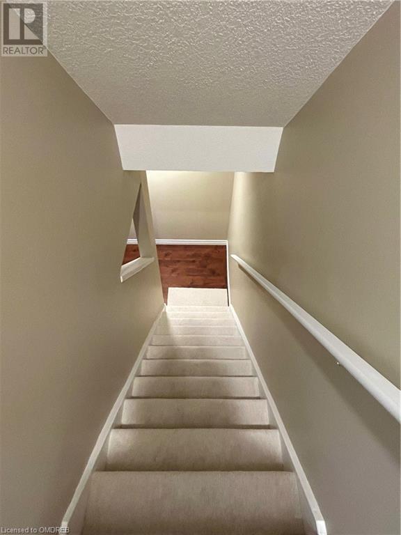 175 David Bergey Drive, Kitchener, Ontario  N2E 4H8 - Photo 20 - 40572760
