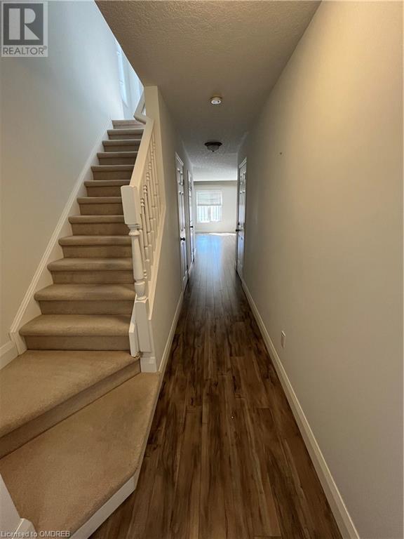 175 David Bergey Drive, Kitchener, Ontario  N2E 4H8 - Photo 7 - 40572760