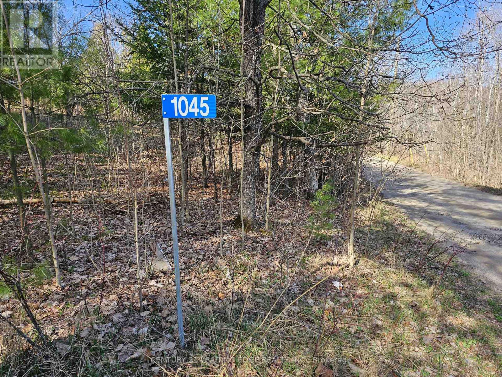 1045 Shanahan Trail, Minden Hills, Ontario  K0M 2K0 - Photo 14 - X8010482