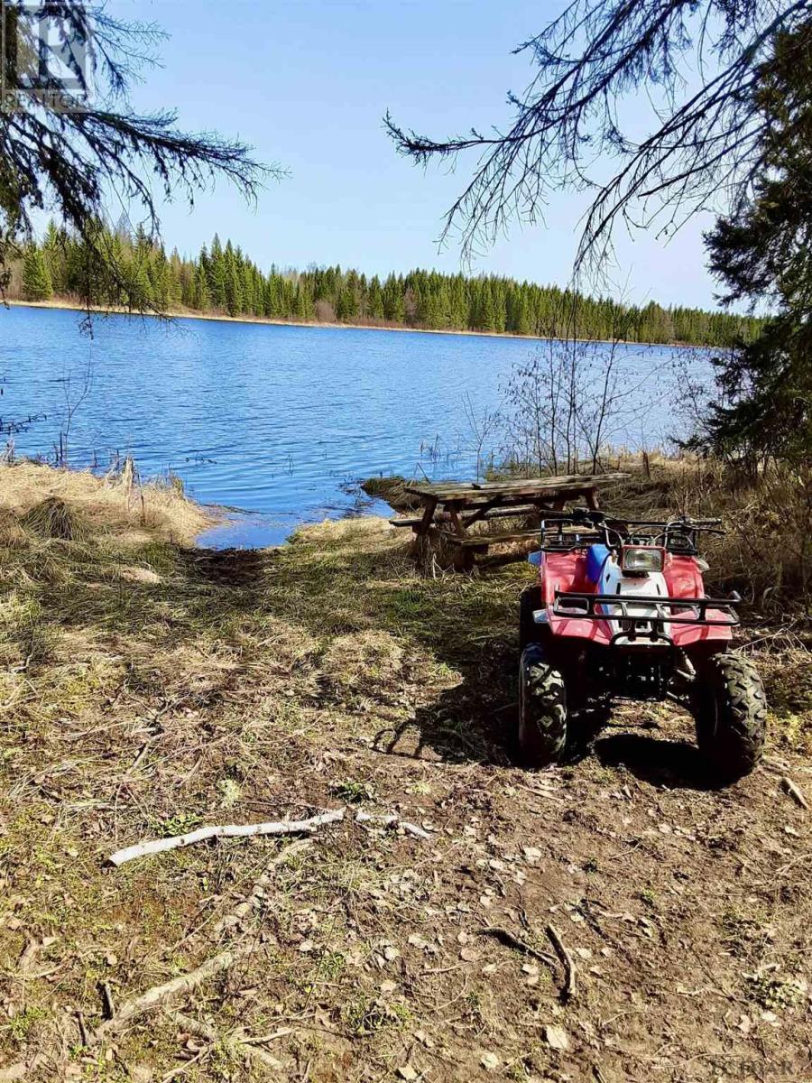 Lot 16 Con 9 Highway 11, Haggart, Ontario  P0L 2B0 - Photo 10 - TM240664