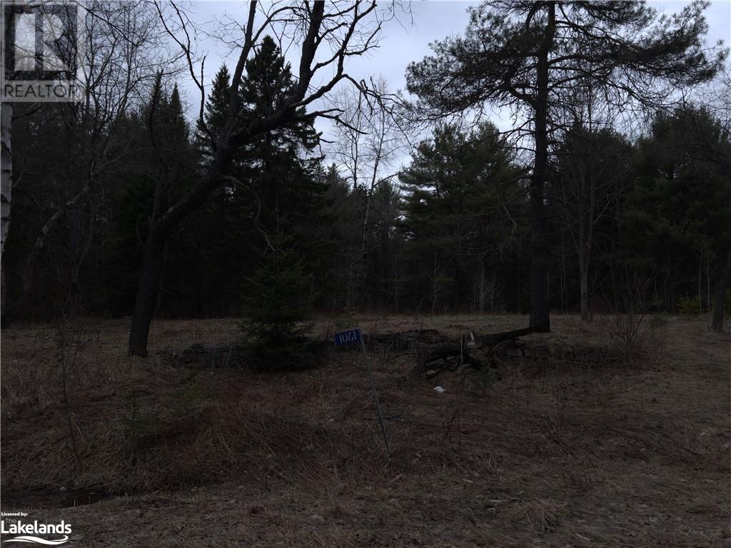 1061 Naismith Road, Bracebridge, Ontario  P1L 1X4 - Photo 3 - 40572147