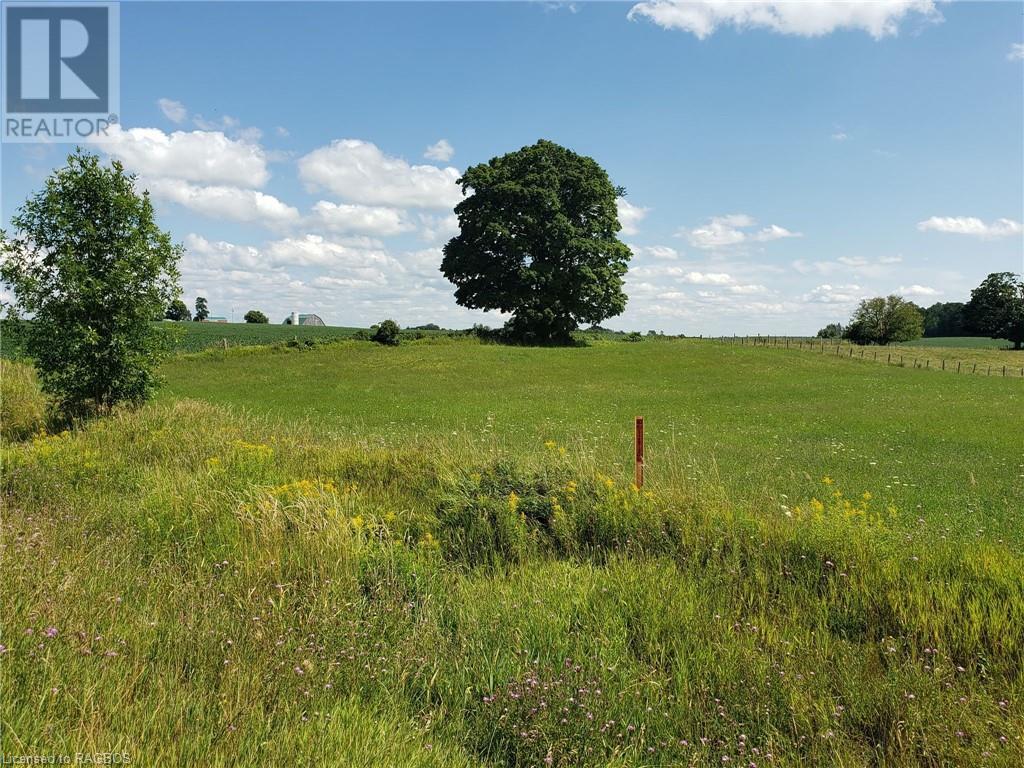 Part Lot 29 12 Concession, Elderslie, Ontario  N0H 1L0 - Photo 10 - 40572962