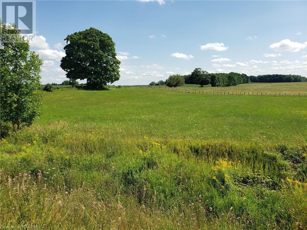 Part Lot 29 12 Concession, Elderslie, Ontario  N0H 1L0 - Photo 14 - 40572962