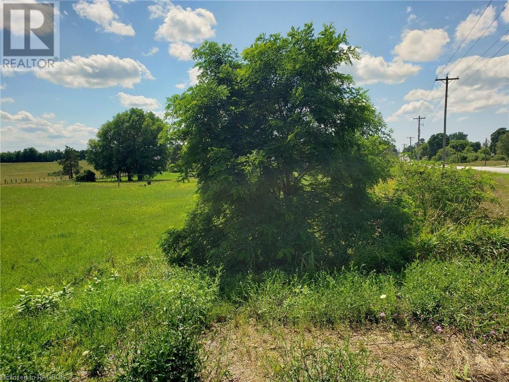 Part Lot 29 12 Concession, Elderslie, Ontario  N0H 1L0 - Photo 4 - 40572962