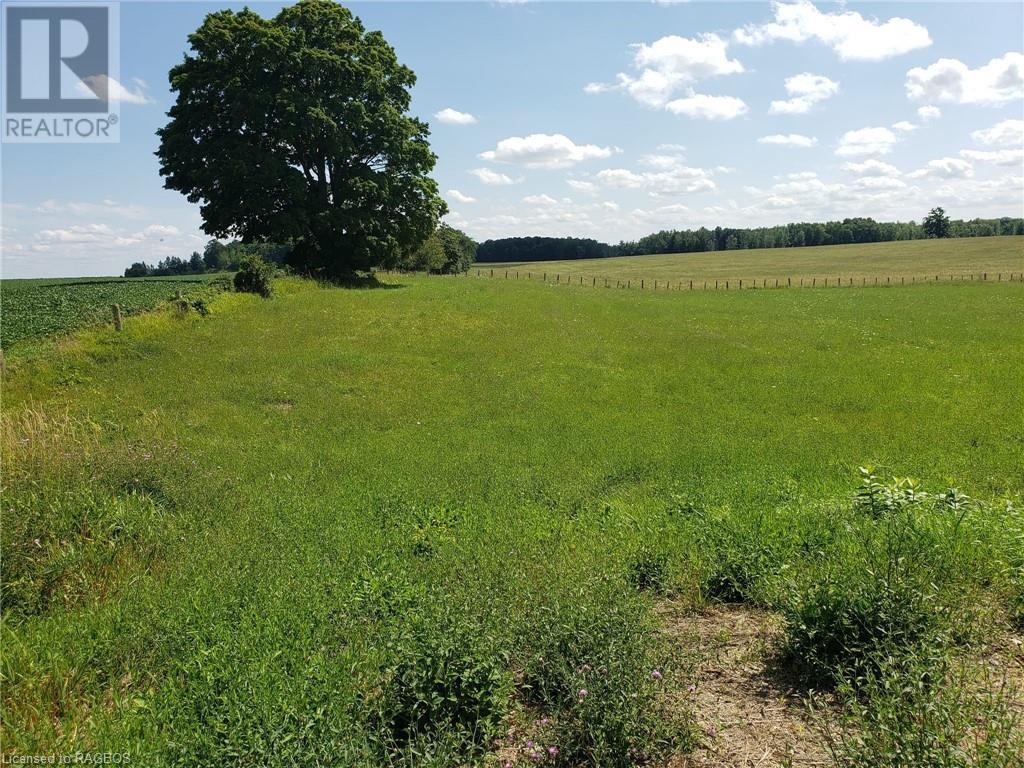 Part Lot 29 12 Concession, Elderslie, Ontario  N0H 1L0 - Photo 8 - 40572962