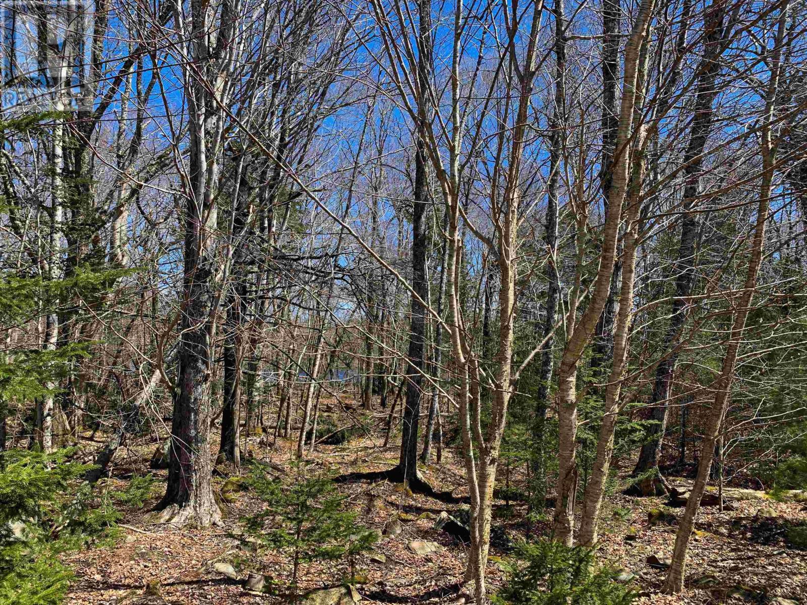 Lot 19 Plymouth Gentian Road, Gavelton, Nova Scotia  B0W 3M0 - Photo 3 - 202407120