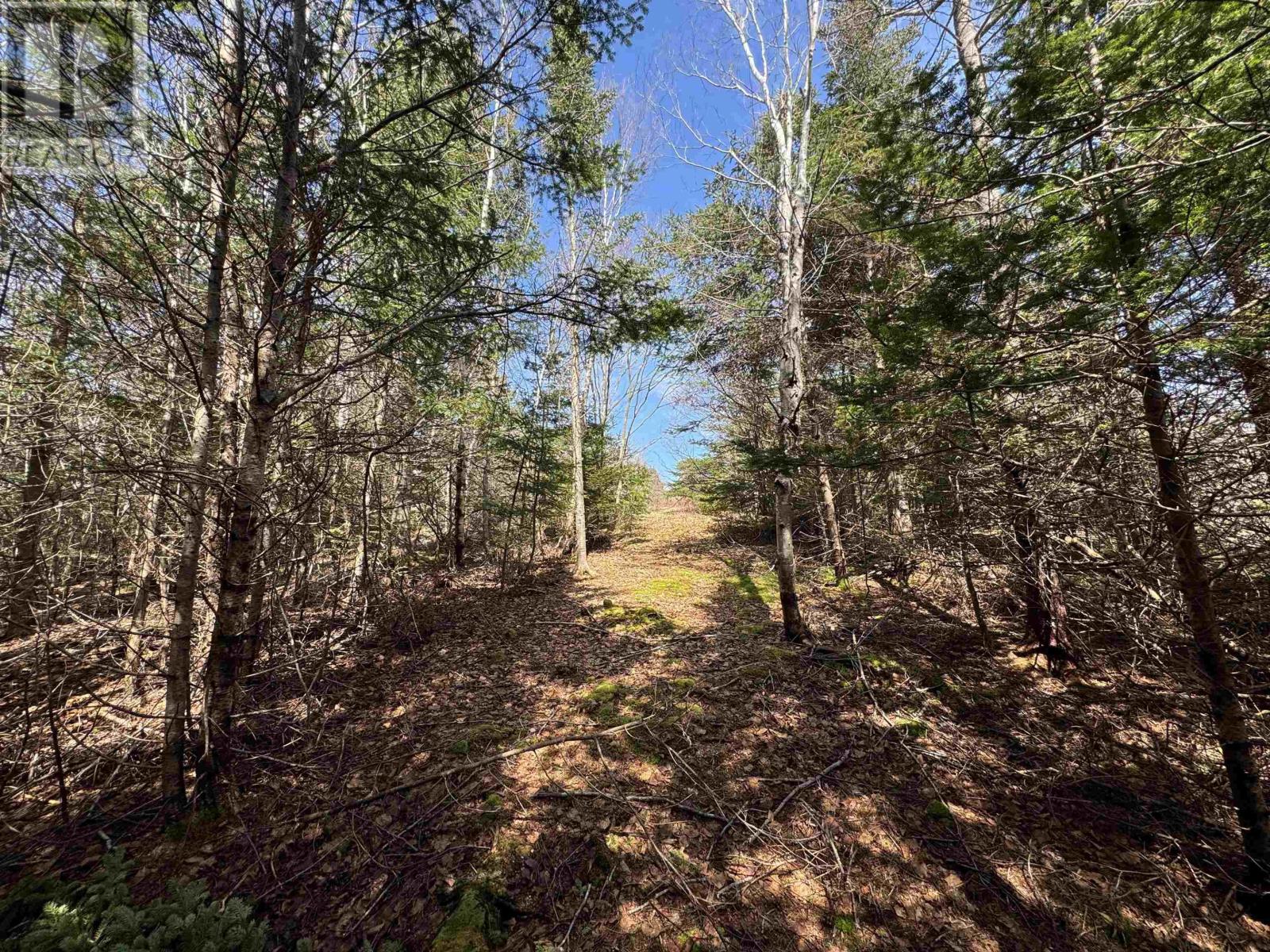 1165 Janvrin Harbour Road, Janvrin Harbour, Nova Scotia  B0E 3J0 - Photo 11 - 202407516