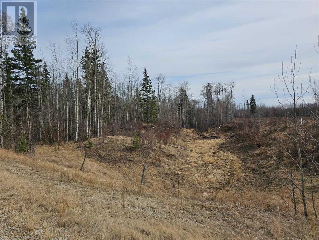 Property Image 4 for TWP RD 712 Township