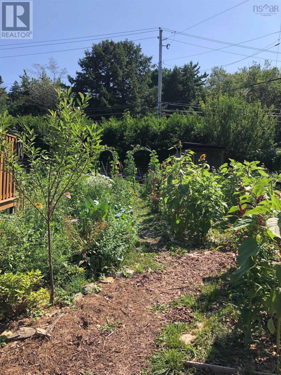 37 Kearney Lake Road, Clayton Park, Nova Scotia  B3M 2S5 - Photo 50 - 202407562