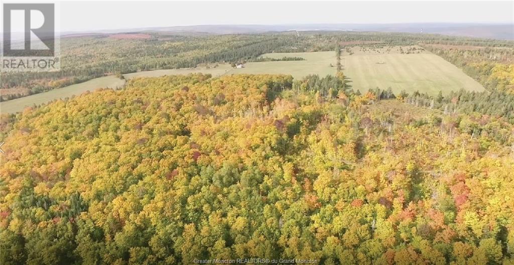 Acreage Gowland Mountain, Gowlan Mountain, New Brunswick  E4Z 2A6 - Photo 22 - M157487